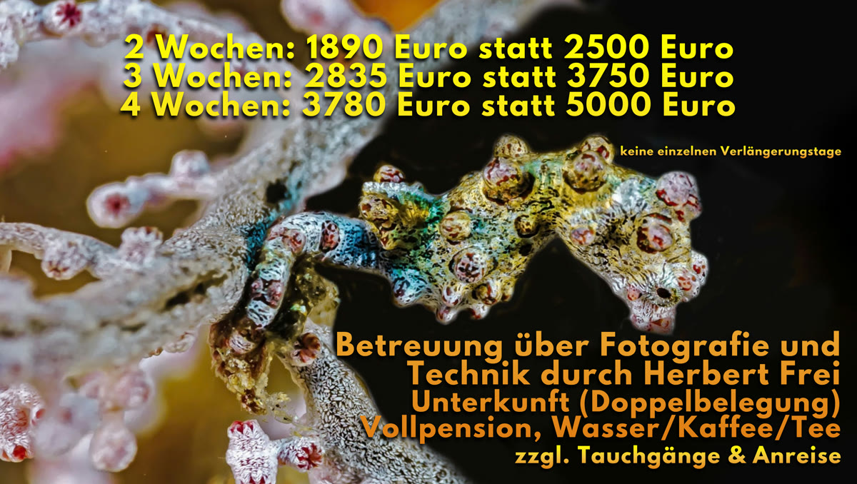 Foto-Workshop-Wochen mit Herbert Frei